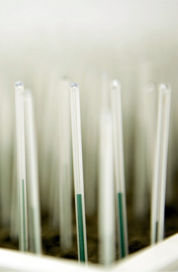 PASTO TERMOSINTETICO